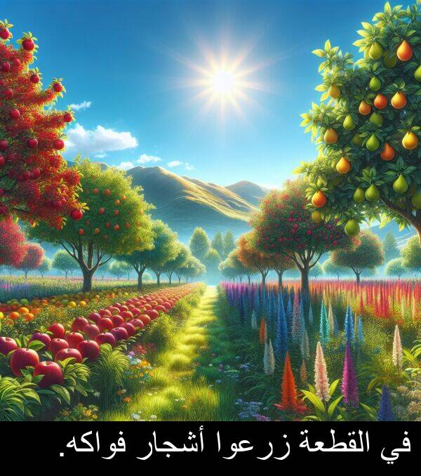 زرعوا: في القطعة زرعوا أشجار فواكه.
