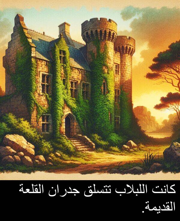 جدران: كانت اللبلاب تتسلق جدران القلعة القديمة.