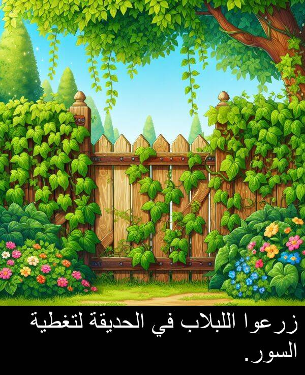 زرعوا: زرعوا اللبلاب في الحديقة لتغطية السور.