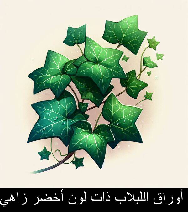 ذات: أوراق اللبلاب ذات لون أخضر زاهي.