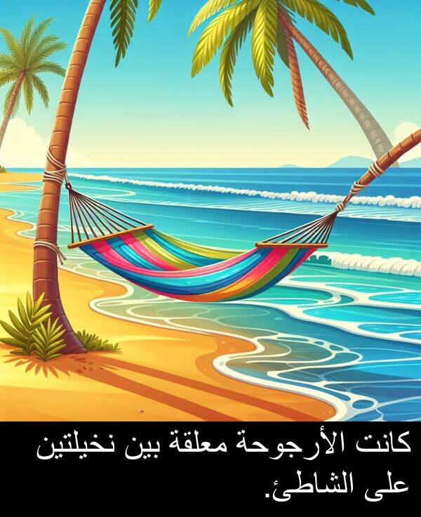 الشاطئ: كانت الأرجوحة معلقة بين نخيلتين على الشاطئ.
