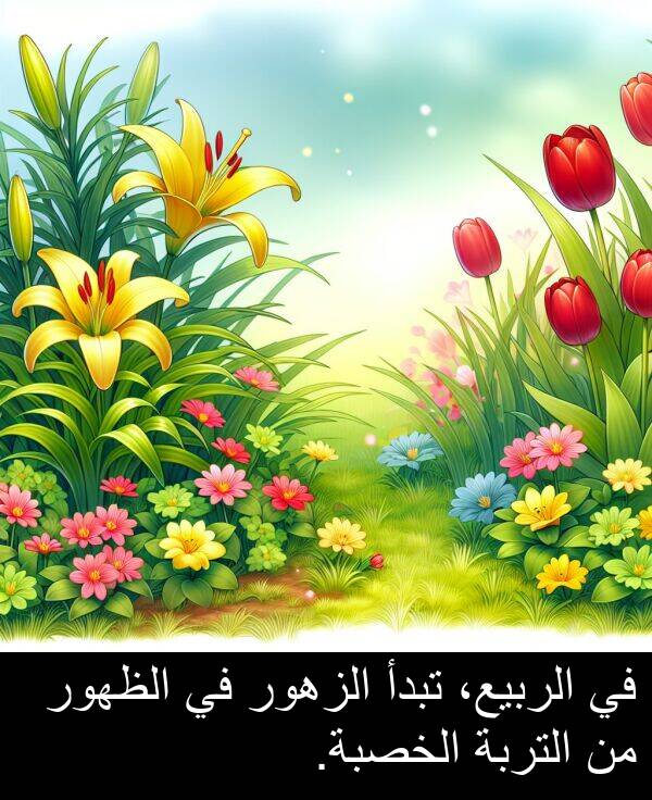 تبدأ: في الربيع، تبدأ الزهور في الظهور من التربة الخصبة.