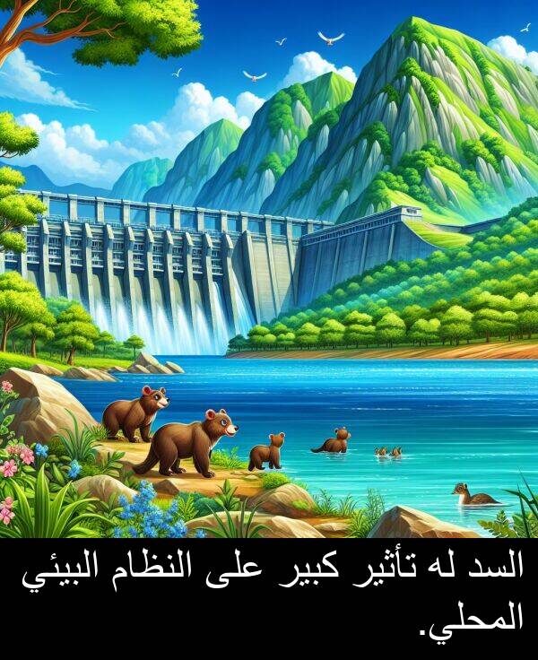 كبير: السد له تأثير كبير على النظام البيئي المحلي.