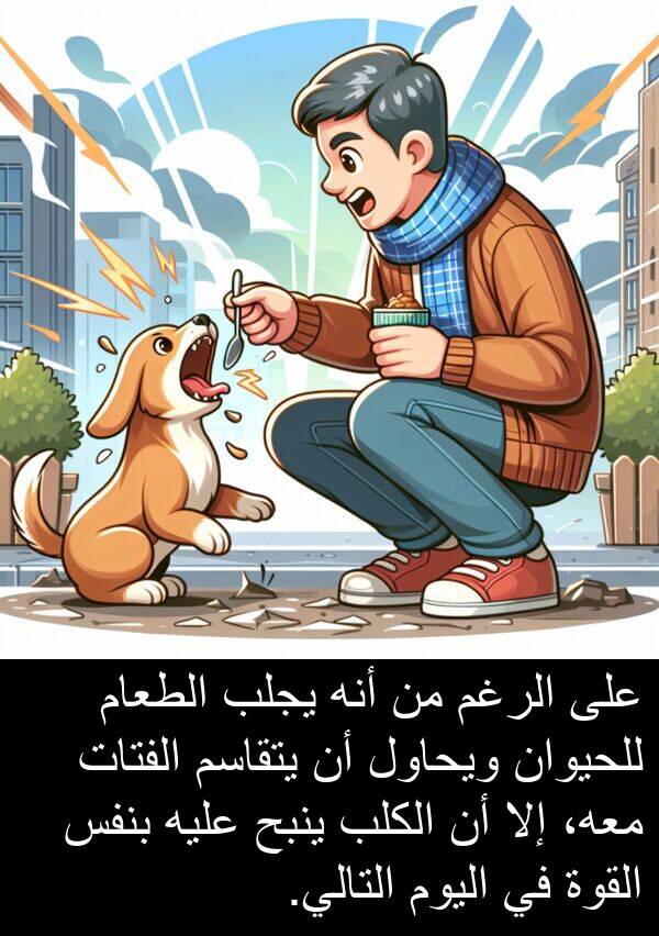 يجلب: على الرغم من أنه يجلب الطعام للحيوان ويحاول أن يتقاسم الفتات معه، إلا أن الكلب ينبح عليه بنفس القوة في اليوم التالي.