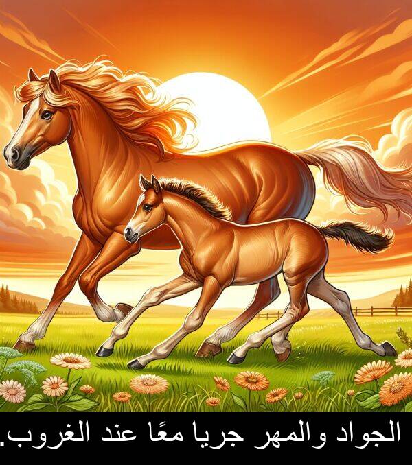 عند: الجواد والمهر جريا معًا عند الغروب.