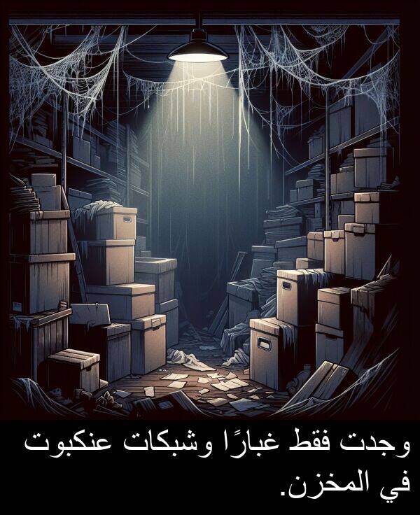 عنكبوت: وجدت فقط غبارًا وشبكات عنكبوت في المخزن.