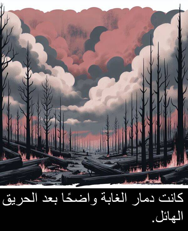 واضحًا: كانت دمار الغابة واضحًا بعد الحريق الهائل.