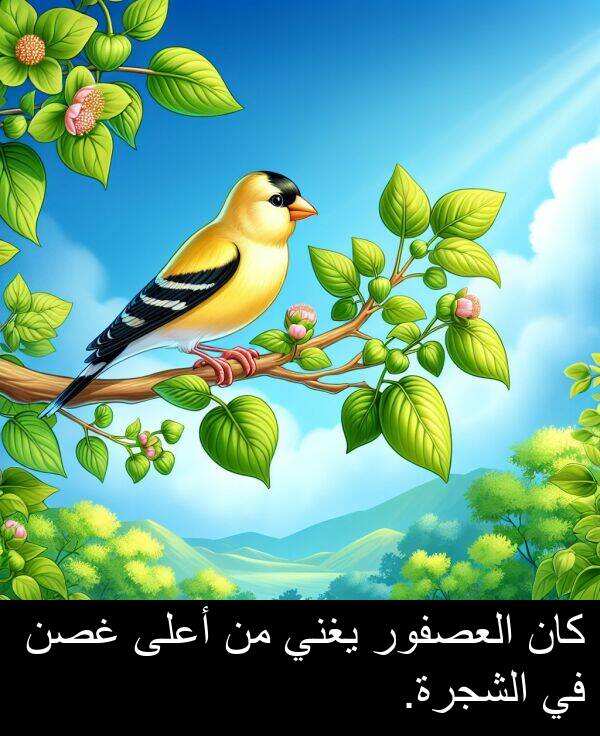 غصن: كان العصفور يغني من أعلى غصن في الشجرة.