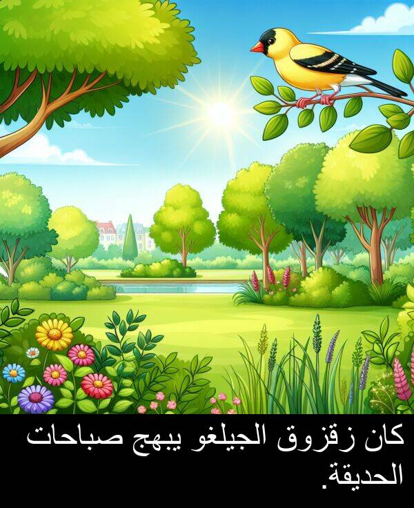 زقزوق: كان زقزوق الجيلغو يبهج صباحات الحديقة.