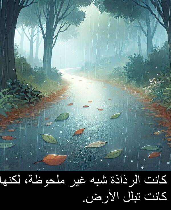 شبه: كانت الرذاذة شبه غير ملحوظة، لكنها كانت تبلل الأرض.