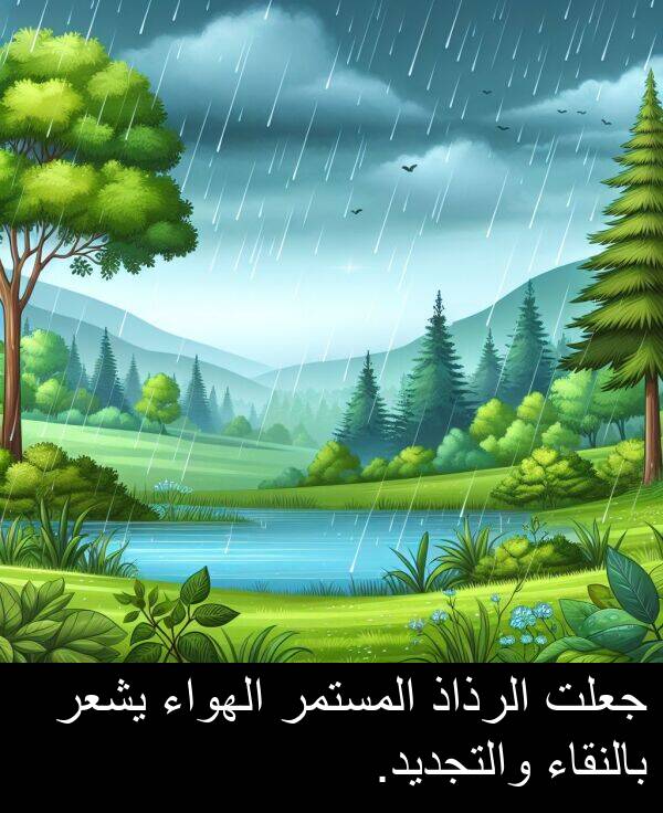 جعلت: جعلت الرذاذ المستمر الهواء يشعر بالنقاء والتجديد.