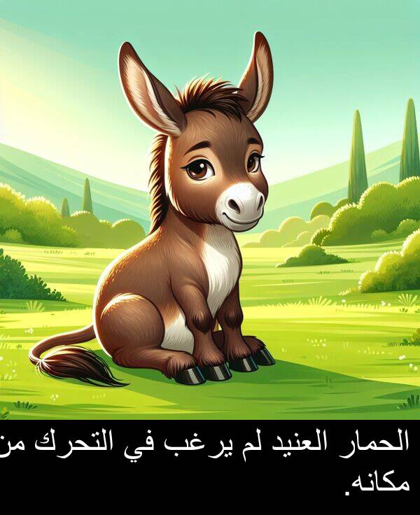 يرغب: الحمار العنيد لم يرغب في التحرك من مكانه.
