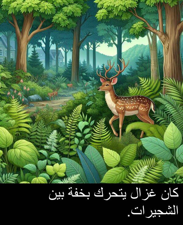 يتحرك: كان غزال يتحرك بخفة بين الشجيرات.