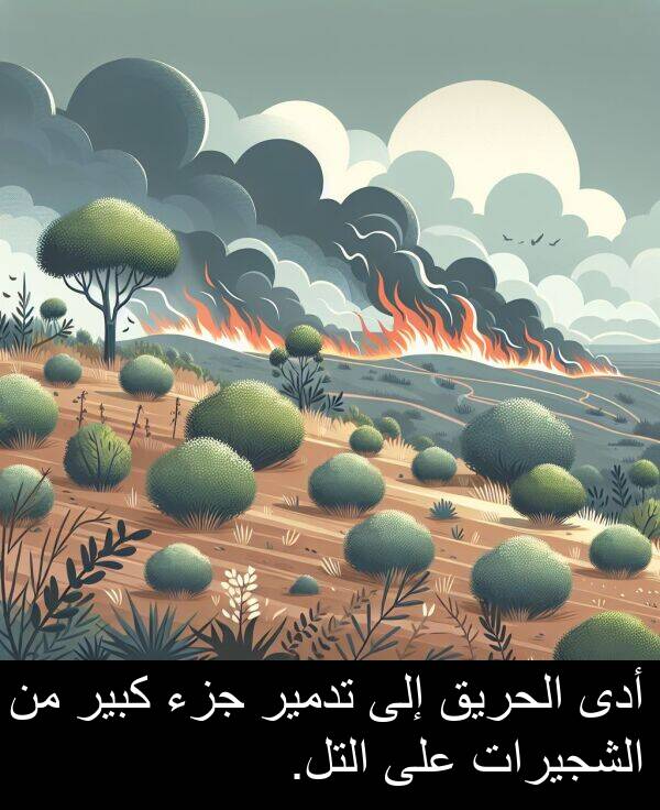 كبير: أدى الحريق إلى تدمير جزء كبير من الشجيرات على التل.