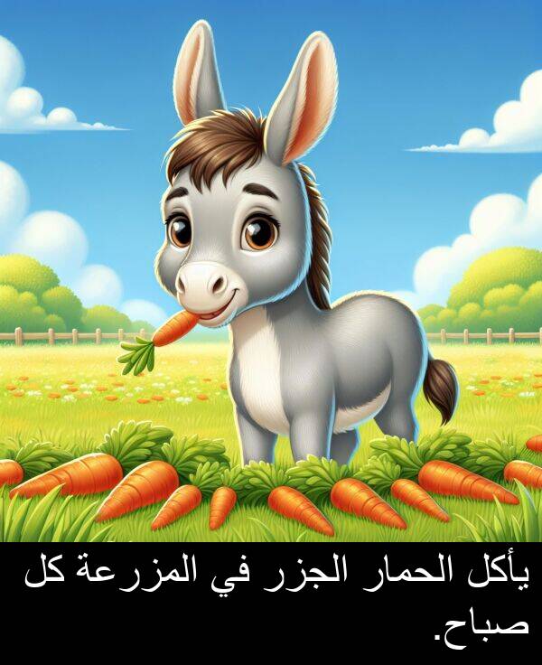 يأكل: يأكل الحمار الجزر في المزرعة كل صباح.