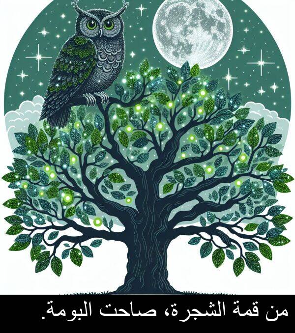 صاحت: من قمة الشجرة، صاحت البومة.