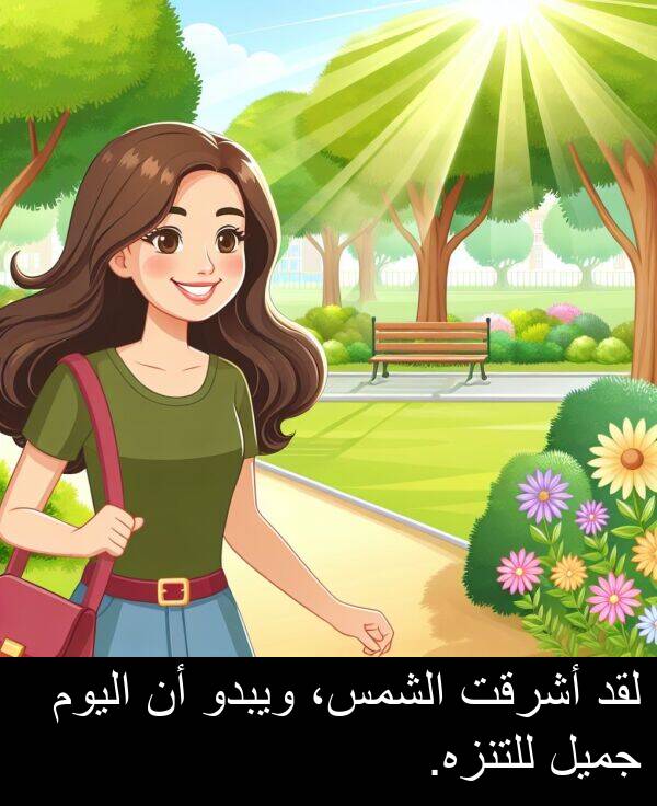 جميل: لقد أشرقت الشمس، ويبدو أن اليوم جميل للتنزه.