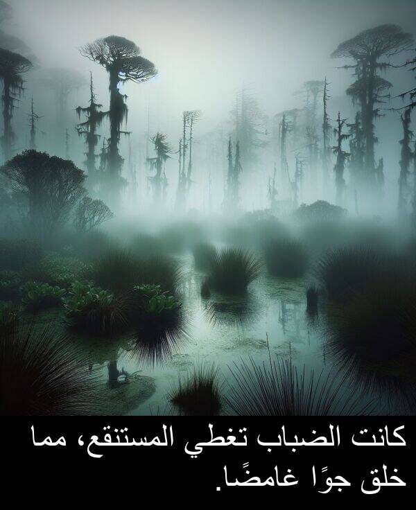 غامضًا: كانت الضباب تغطي المستنقع، مما خلق جوًا غامضًا.