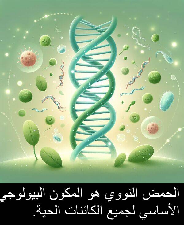 لجميع: الحمض النووي هو المكون البيولوجي الأساسي لجميع الكائنات الحية.