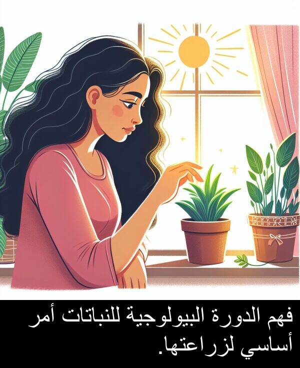 أساسي: فهم الدورة البيولوجية للنباتات أمر أساسي لزراعتها.