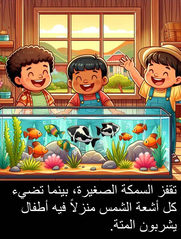 يشربون: تقفز السمكة الصغيرة، بينما تضيء كل أشعة الشمس منزلاً فيه أطفال يشربون المتة.