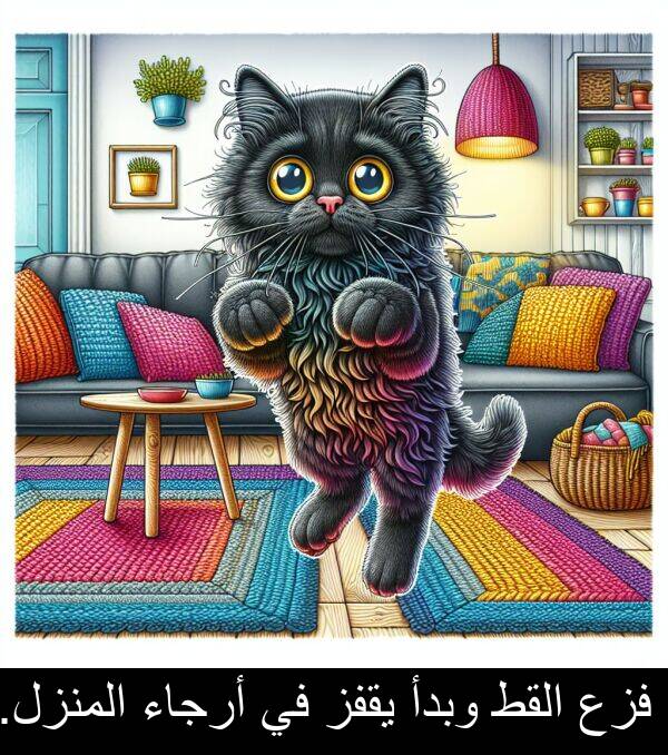 أرجاء: فزع القط وبدأ يقفز في أرجاء المنزل.