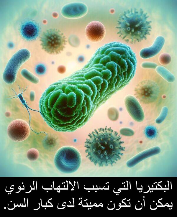 لدى: البكتيريا التي تسبب الالتهاب الرئوي يمكن أن تكون مميتة لدى كبار السن.