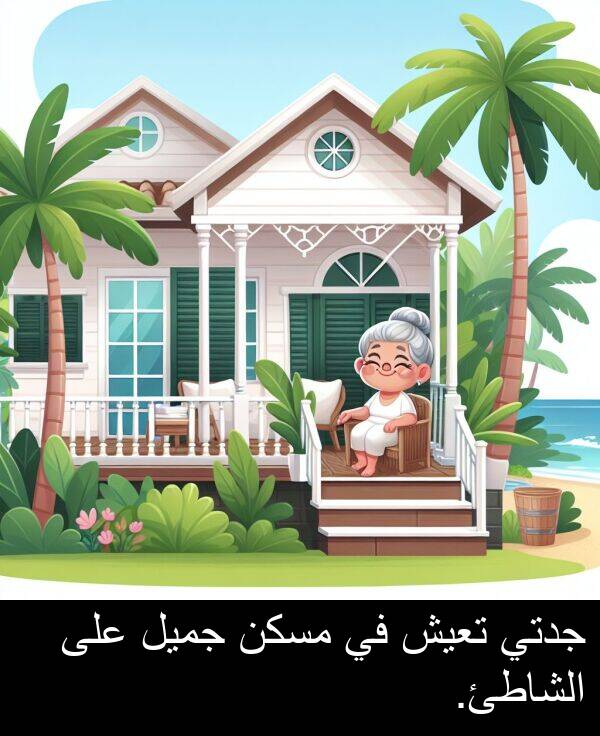 جدتي: جدتي تعيش في مسكن جميل على الشاطئ.