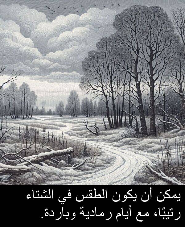 رتيبًا،: يمكن أن يكون الطقس في الشتاء رتيبًا، مع أيام رمادية وباردة.