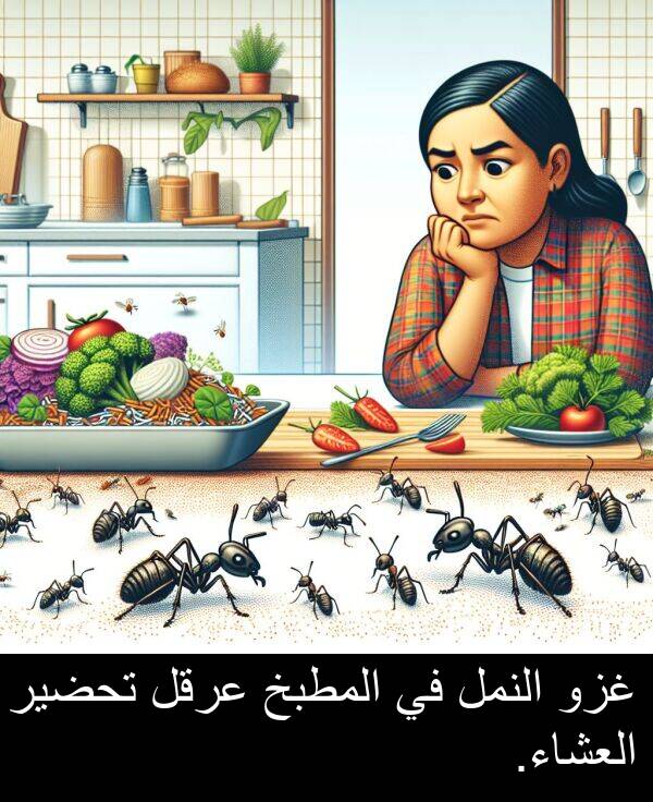 غزو: غزو النمل في المطبخ عرقل تحضير العشاء.