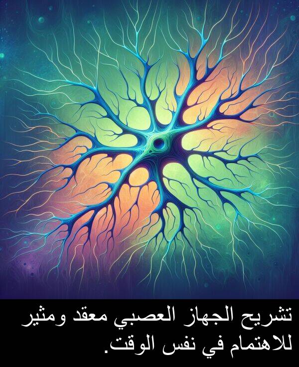 للاهتمام: تشريح الجهاز العصبي معقد ومثير للاهتمام في نفس الوقت.