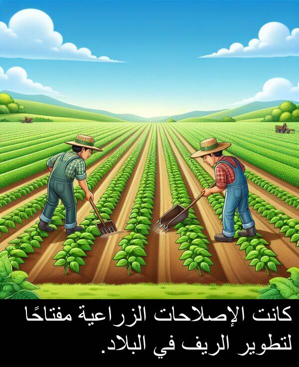 لتطوير: كانت الإصلاحات الزراعية مفتاحًا لتطوير الريف في البلاد.