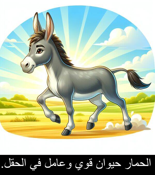 قوي: الحمار حيوان قوي وعامل في الحقل.