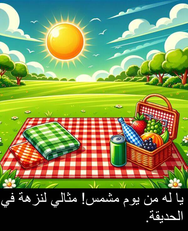 الحديقة: يا له من يوم مشمس! مثالي لنزهة في الحديقة.