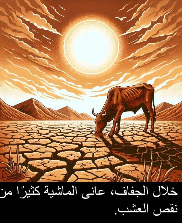 كثيرًا: خلال الجفاف، عانى الماشية كثيرًا من نقص العشب.