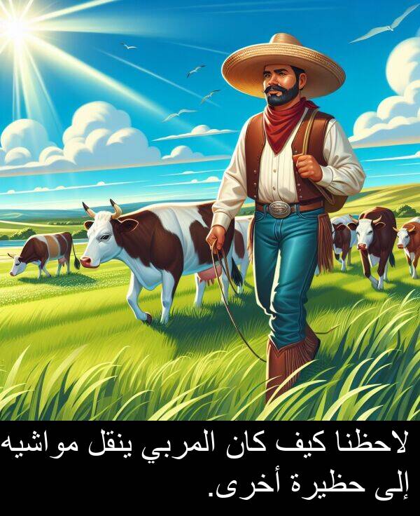 كيف: لاحظنا كيف كان المربي ينقل مواشيه إلى حظيرة أخرى.