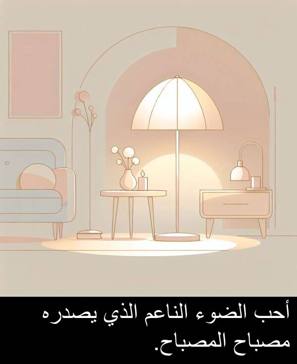 أحب: أحب الضوء الناعم الذي يصدره مصباح المصباح.