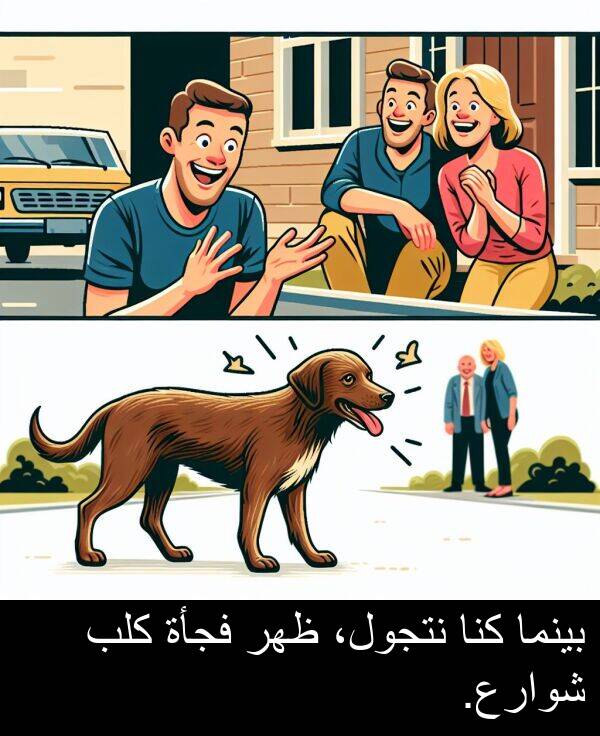 كنا: بينما كنا نتجول، ظهر فجأة كلب شوارع.