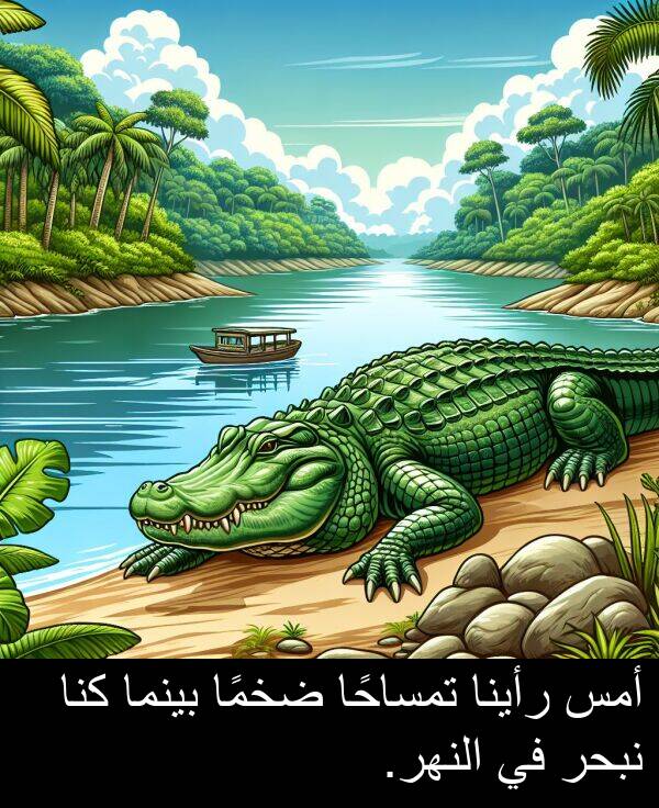 كنا: أمس رأينا تمساحًا ضخمًا بينما كنا نبحر في النهر.