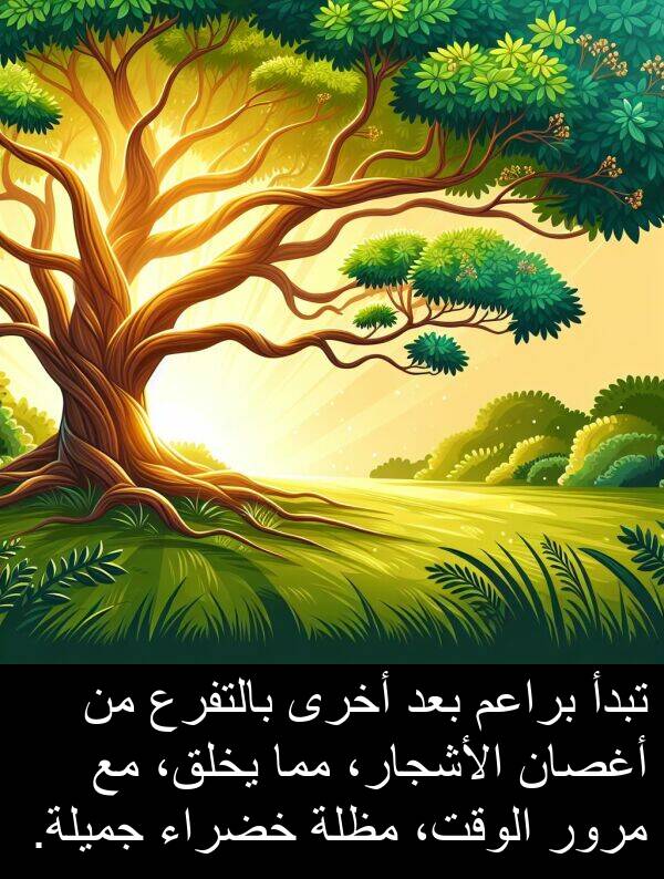 خضراء: تبدأ براعم بعد أخرى بالتفرع من أغصان الأشجار، مما يخلق، مع مرور الوقت، مظلة خضراء جميلة.