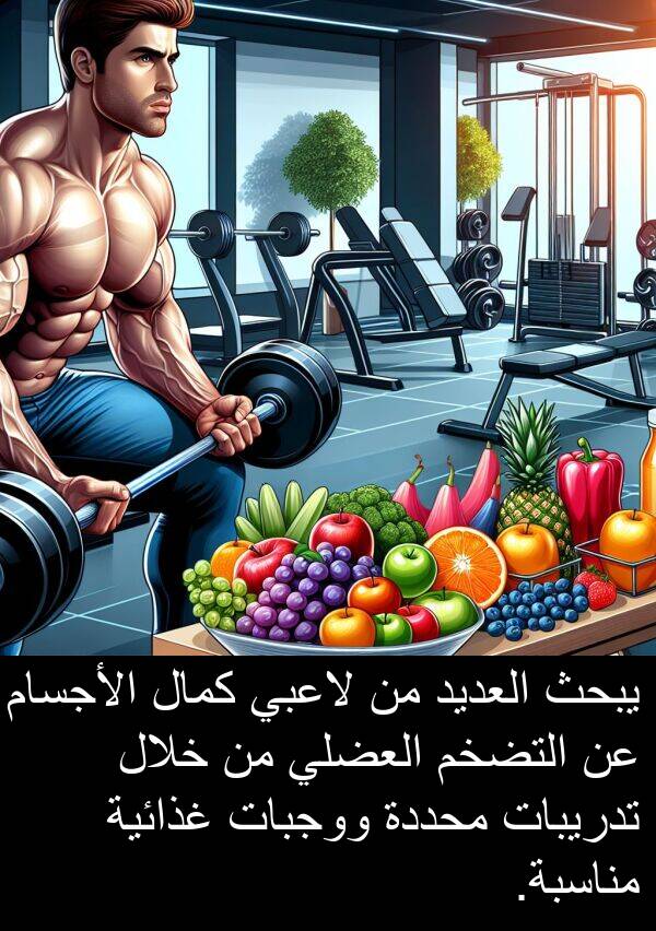 كمال: يبحث العديد من لاعبي كمال الأجسام عن التضخم العضلي من خلال تدريبات محددة ووجبات غذائية مناسبة.