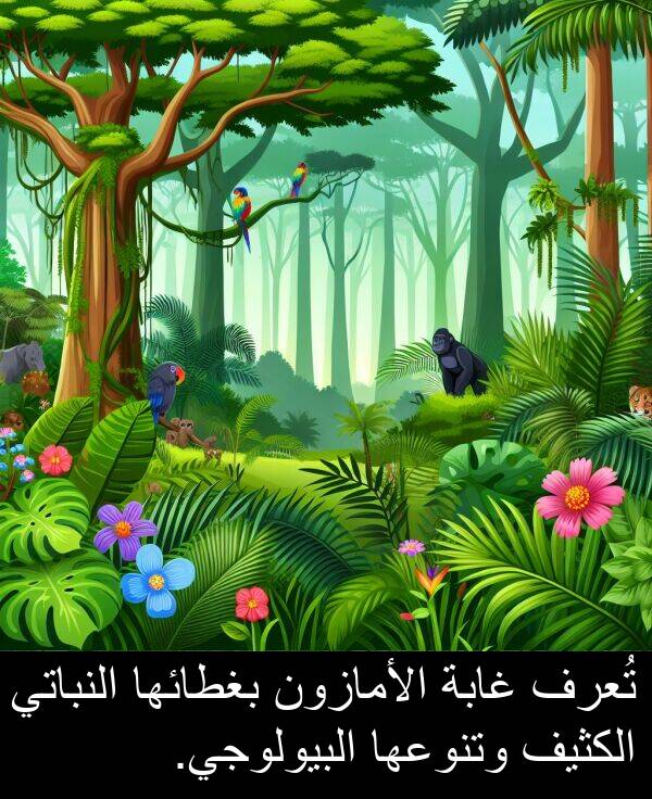 غابة: تُعرف غابة الأمازون بغطائها النباتي الكثيف وتنوعها البيولوجي.