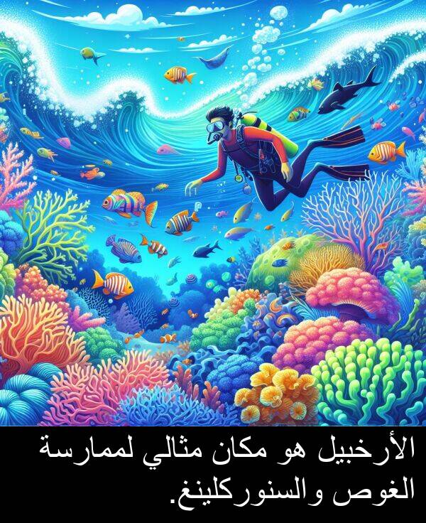 لممارسة: الأرخبيل هو مكان مثالي لممارسة الغوص والسنوركلينغ.