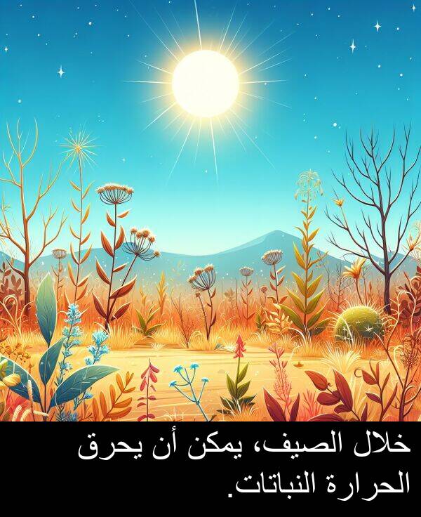 خلال: خلال الصيف، يمكن أن يحرق الحرارة النباتات.