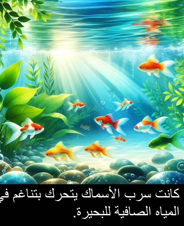 يتحرك: كانت سرب الأسماك يتحرك بتناغم في المياه الصافية للبحيرة.