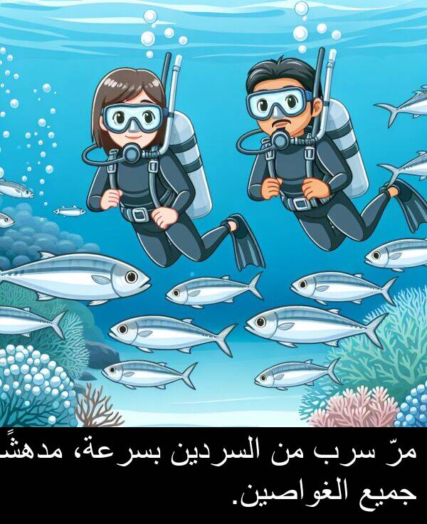 جميع: مرّ سرب من السردين بسرعة، مدهشًا جميع الغواصين.