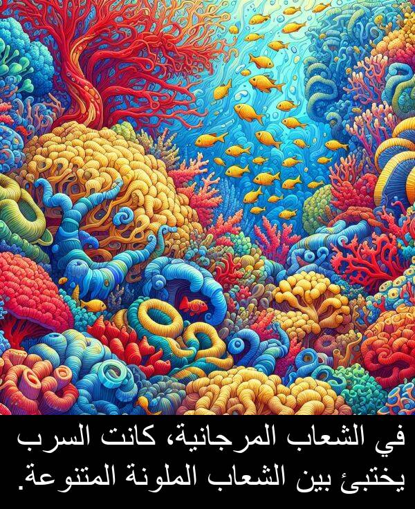 يختبئ: في الشعاب المرجانية، كانت السرب يختبئ بين الشعاب الملونة المتنوعة.