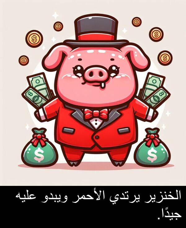 عليه: الخنزير يرتدي الأحمر ويبدو عليه جيدًا.