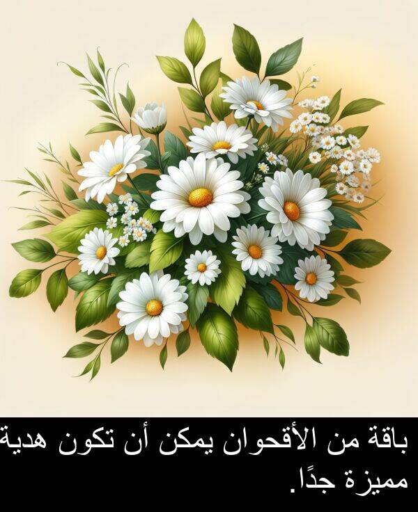هدية: باقة من الأقحوان يمكن أن تكون هدية مميزة جدًا.