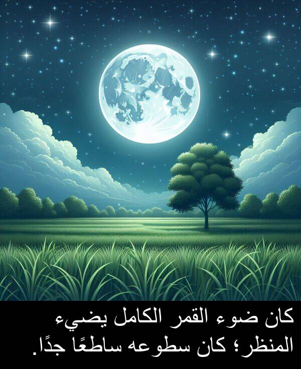 ضوء: كان ضوء القمر الكامل يضيء المنظر؛ كان سطوعه ساطعًا جدًا.